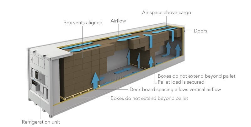 mô phỏng cấu tạo container lạnh